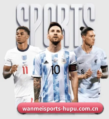 完美体育的方向(WANMEI SPORTS)
