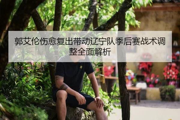 郭艾伦伤愈复出带动辽宁队季后赛战术调整全面解析 - WANMEI SPORTS